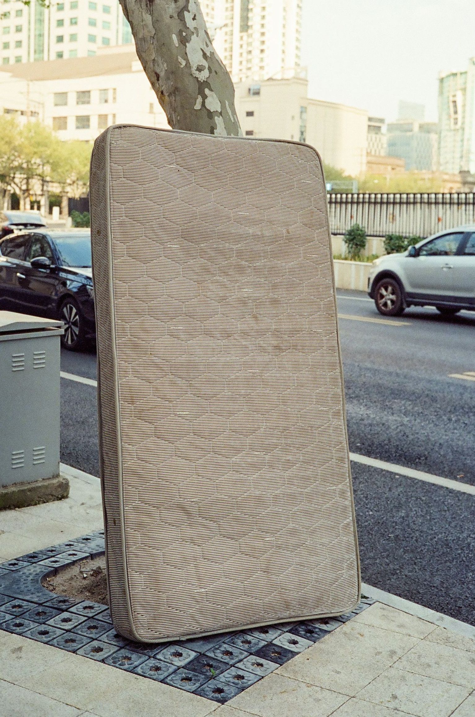 A mattress leans against a tree on the sidewalk.